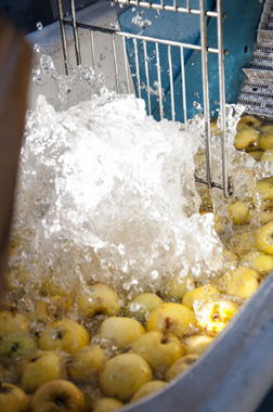 Äpfel im Waschbecken